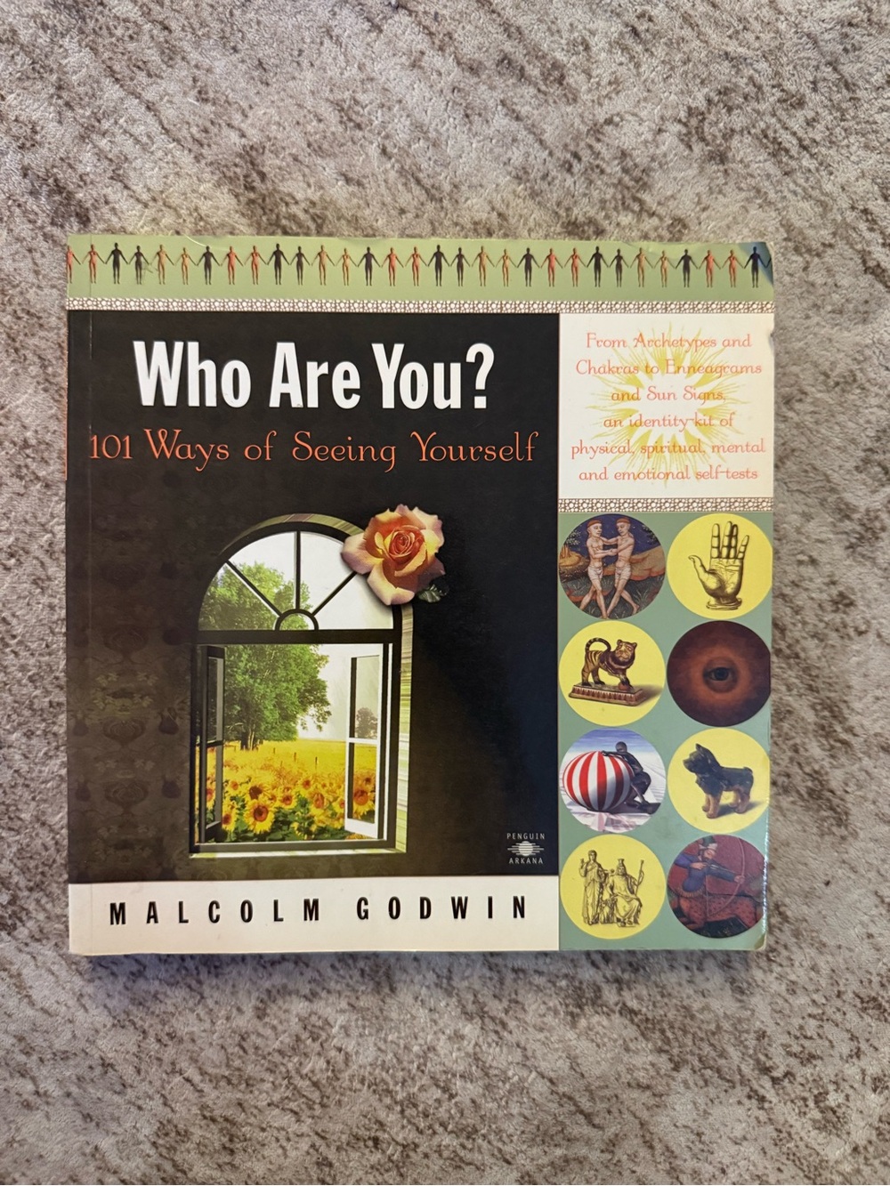 BOOK: Who Are You? 101 Ways of Seeing Yourself by Malcolm Godwin.